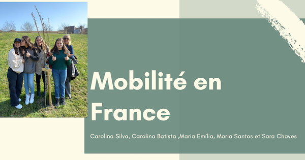 Mobilité en France